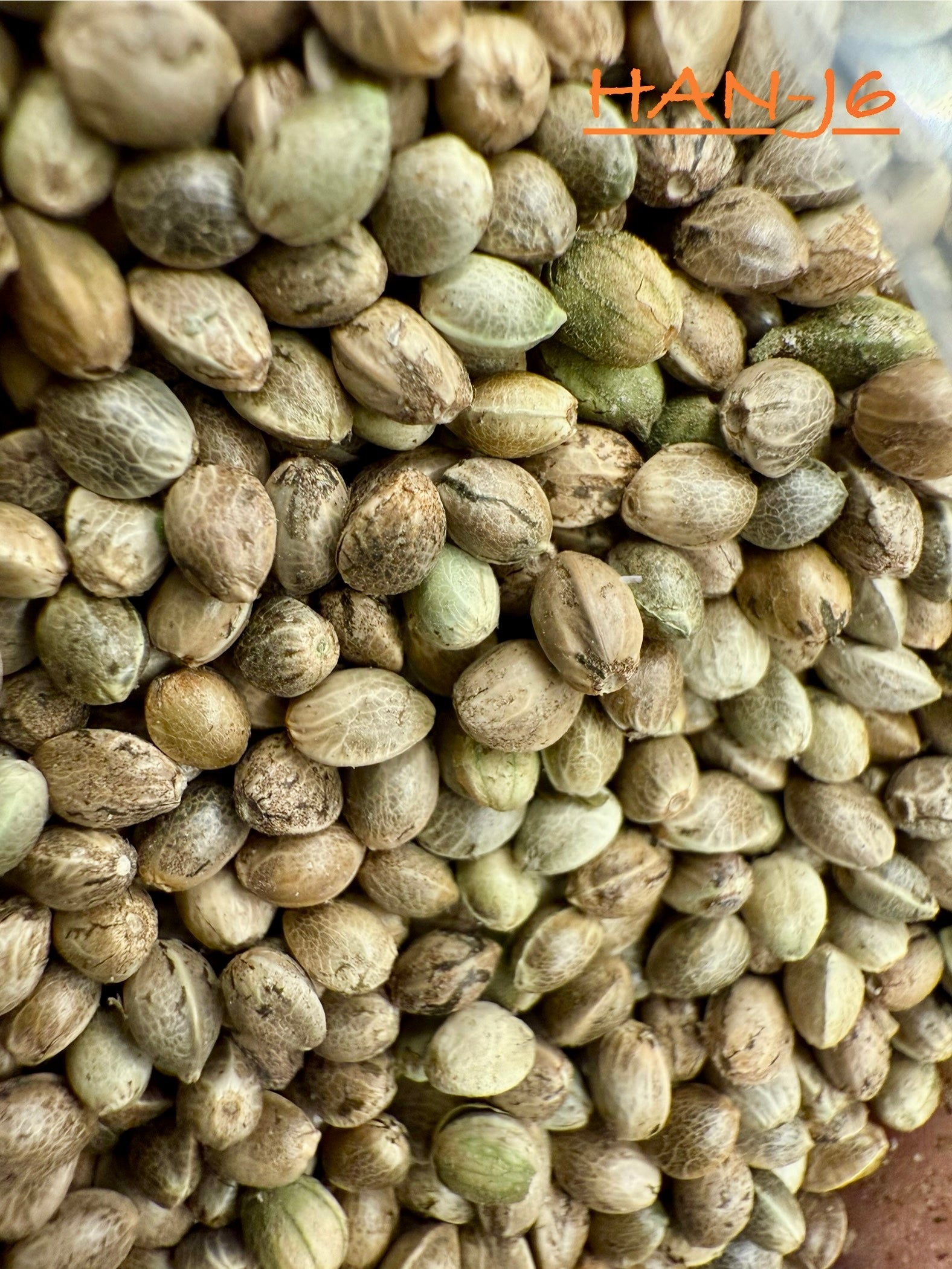 Ripkitty International & Domestic Raw Viable Hemp Seeds Sold in Bulk & Single Amounts for Poultry, Equine Feeding, & Livestock