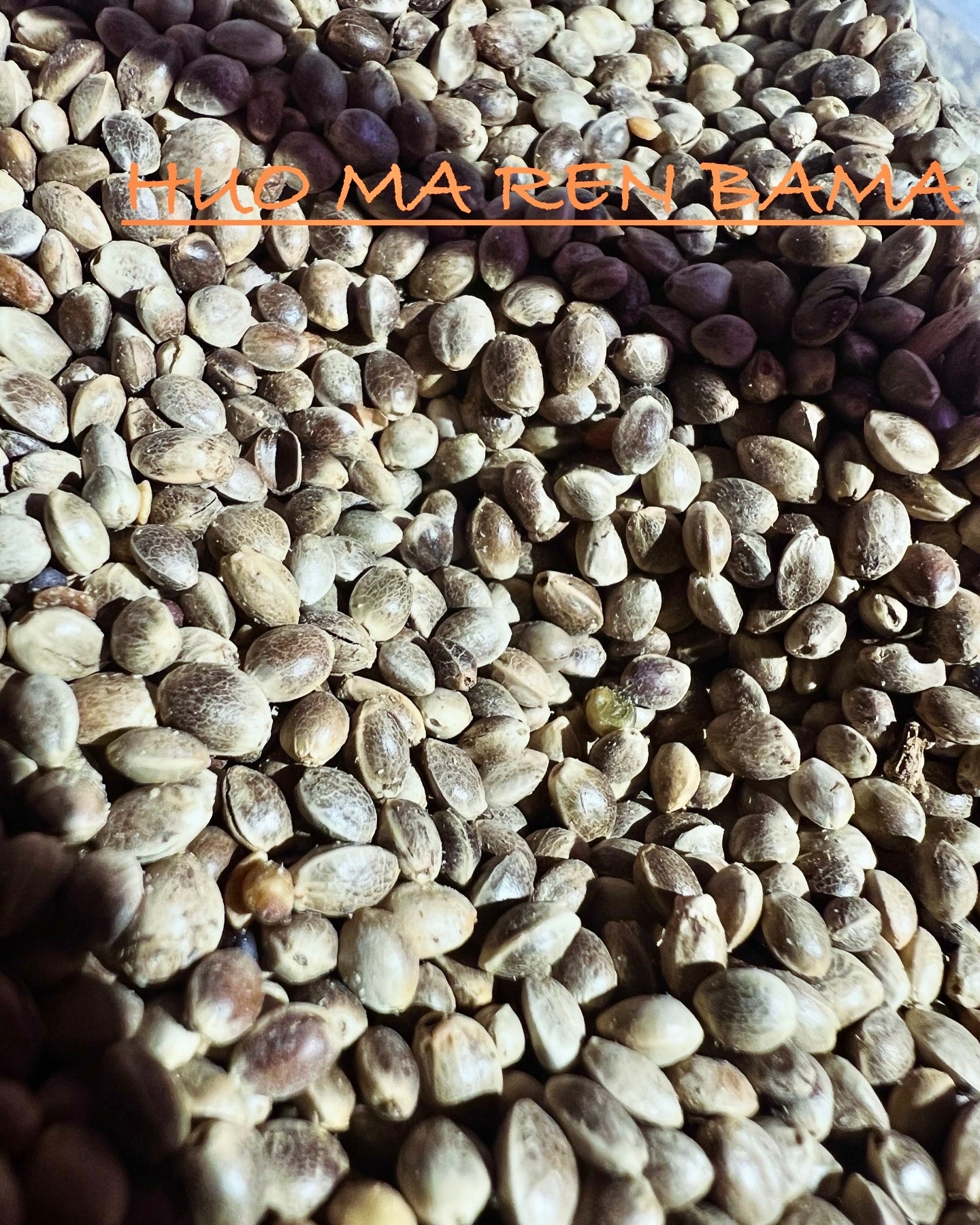 Ripkitty International & Domestic Raw Viable Hemp Seeds Sold in Bulk & Single Amounts for Poultry, Equine Feeding, & Livestock