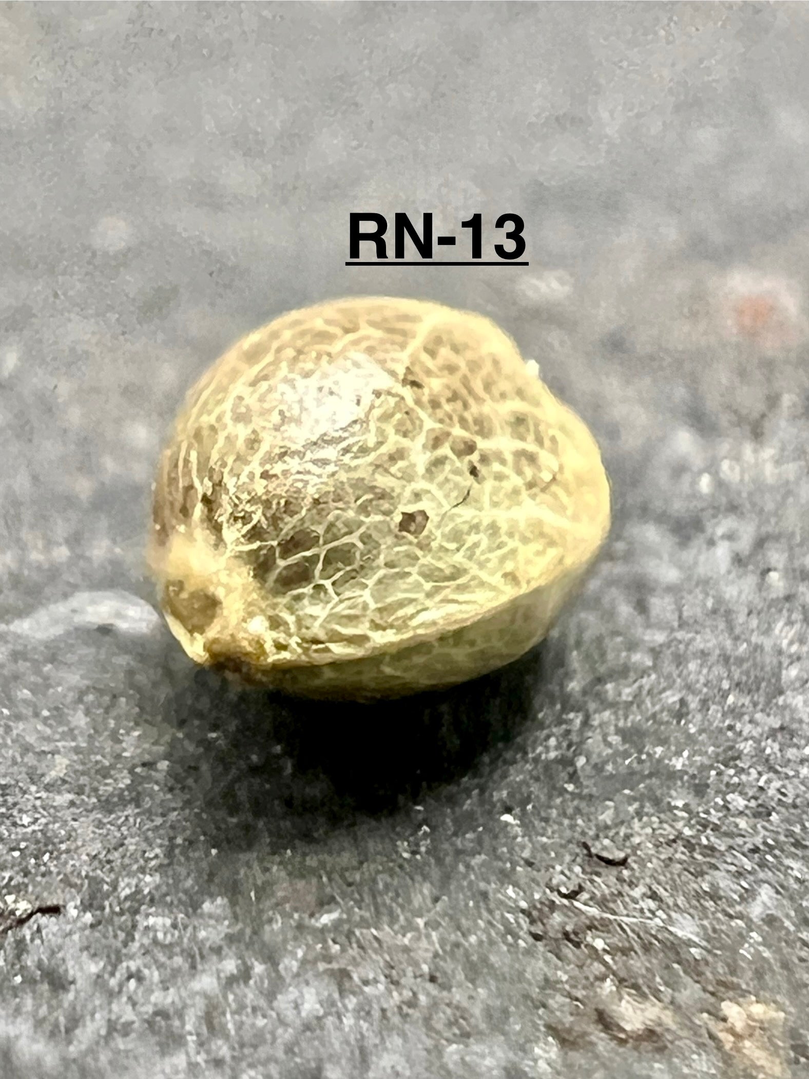Ripkitty International & Domestic Raw Viable Hemp Seeds Sold in Bulk & Single Amounts for Poultry, Equine Feeding, & Livestock