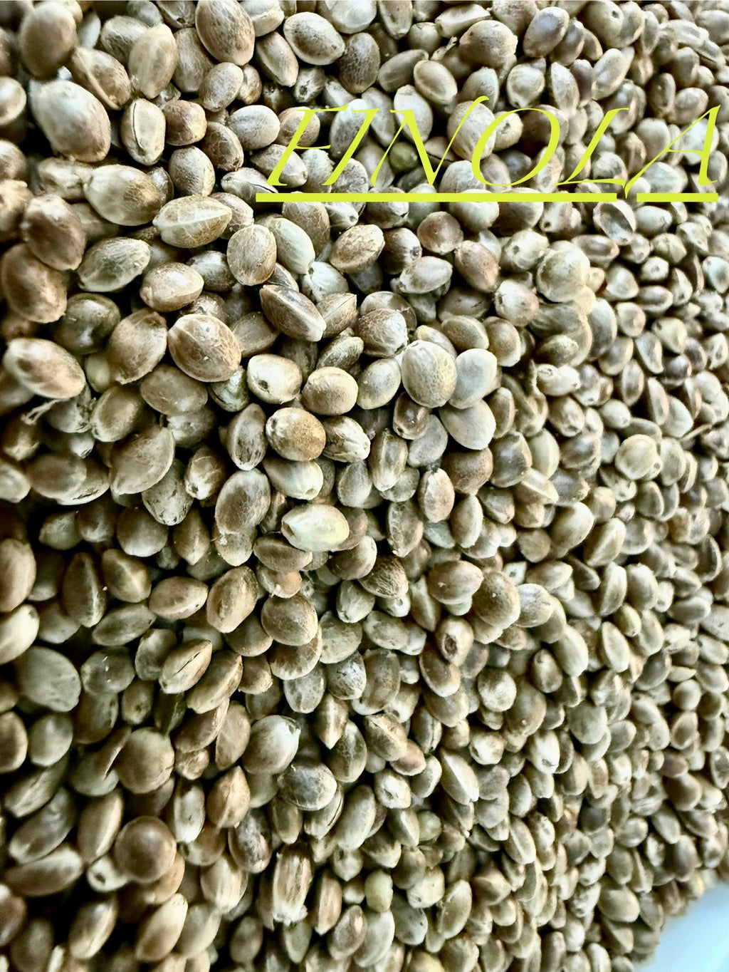 Ripkitty International & Domestic Raw Viable Hemp Seeds Sold in Bulk & Single Amounts for Poultry, Equine Feeding, & Livestock