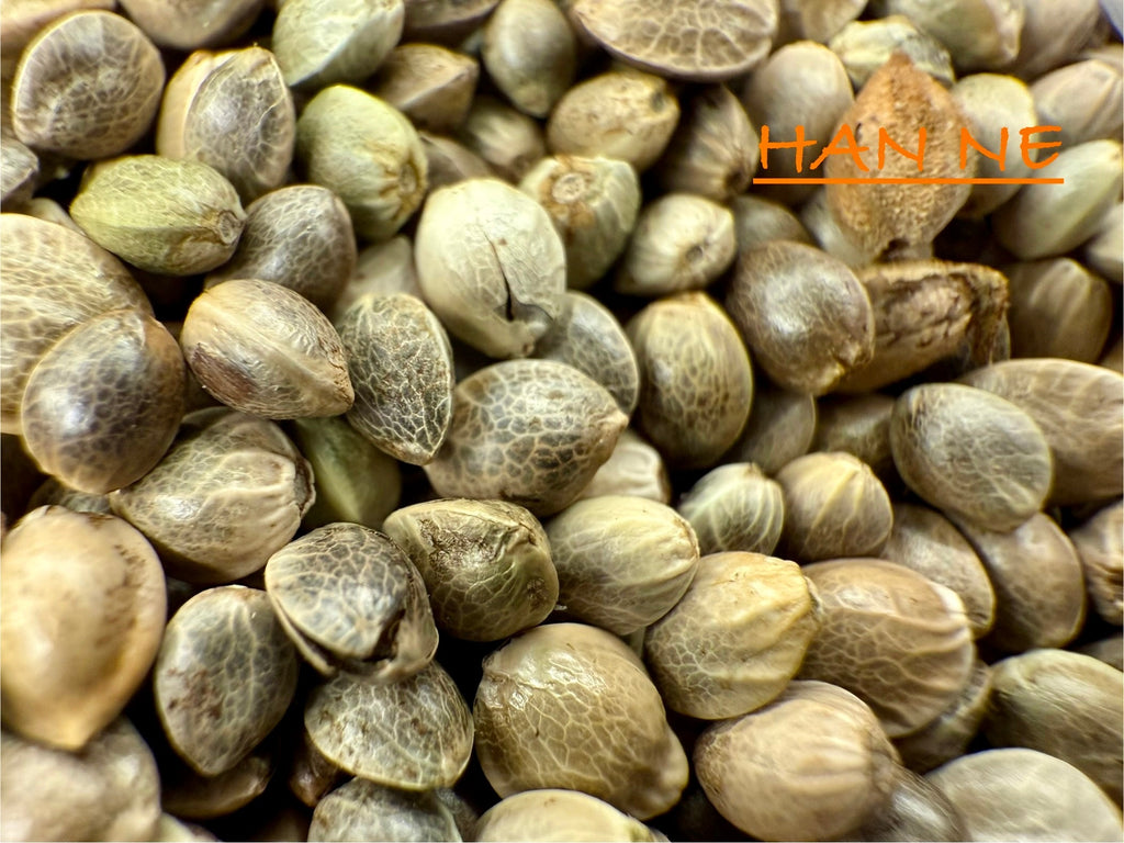 Ripkitty International & Domestic Raw Viable Hemp Seeds Sold in Bulk & Single Amounts for Poultry, Equine Feeding, & Livestock