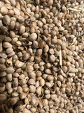 Overhead macro close-up of bulk raw organic hemp seeds, showing dense coverage of whole oval seeds in muted tan and grey-green tones with scattered cracked shells, small stem fragments, and natural plant matter
