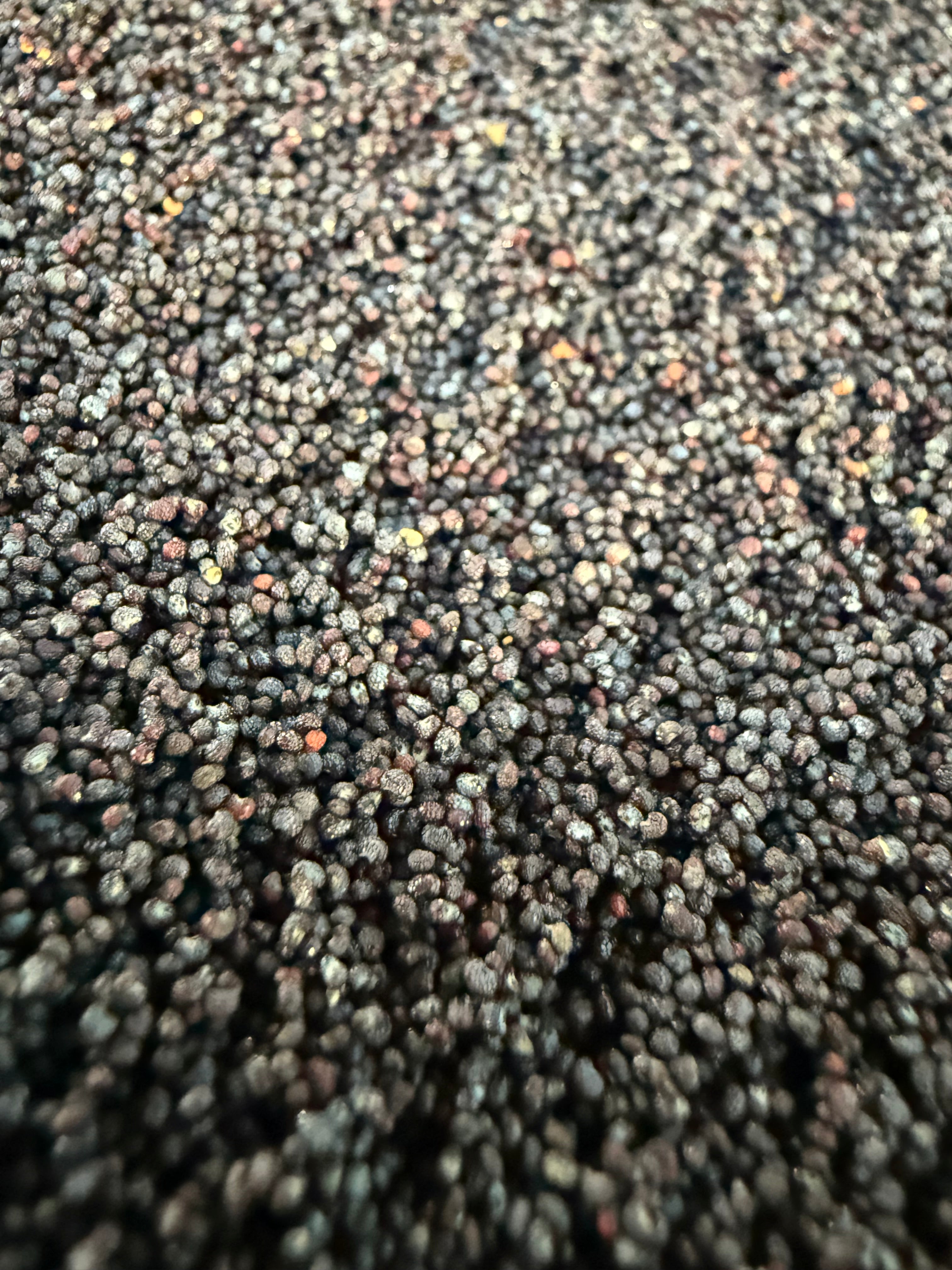Ripkitty Organic Culinary Baking Poppy Seeds