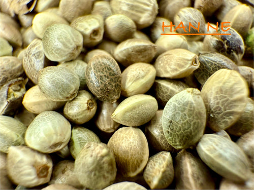 Ripkitty International & Domestic Raw Viable Hemp Seeds Sold in Bulk & Single Amounts for Poultry, Equine Feeding, & Livestock