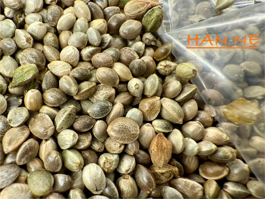 Ripkitty International & Domestic Raw Viable Hemp Seeds Sold in Bulk & Single Amounts for Poultry, Equine Feeding, & Livestock