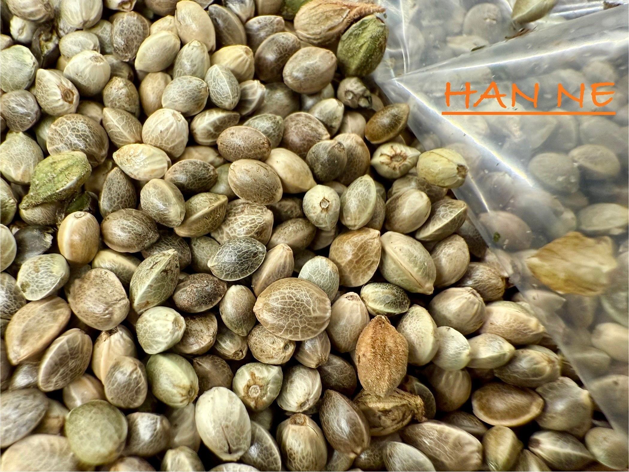 Ripkitty International & Domestic Raw Viable Hemp Seeds Sold in Bulk & Single Amounts for Poultry, Equine Feeding, & Livestock