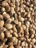 Macro close-up of bulk toasted organic hemp seeds filling the frame, showing oval seeds in rich warm brown and tan tones with deeply textured, crinkled seed coats and natural variation in color from light tan to dark chocolate-brown