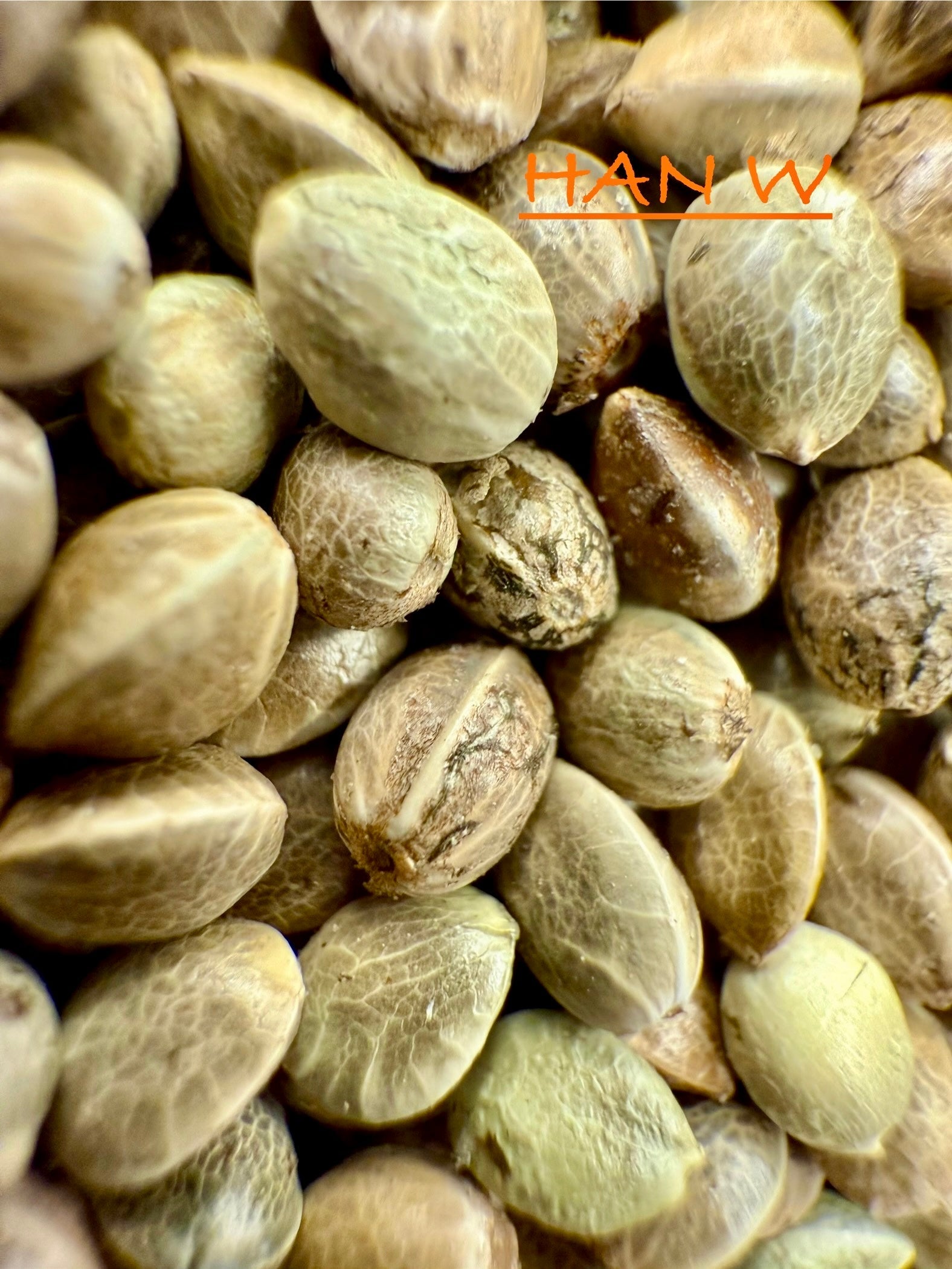 Ripkitty International & Domestic Raw Viable Hemp Seeds Sold in Bulk & Single Amounts for Poultry, Equine Feeding, & Livestock