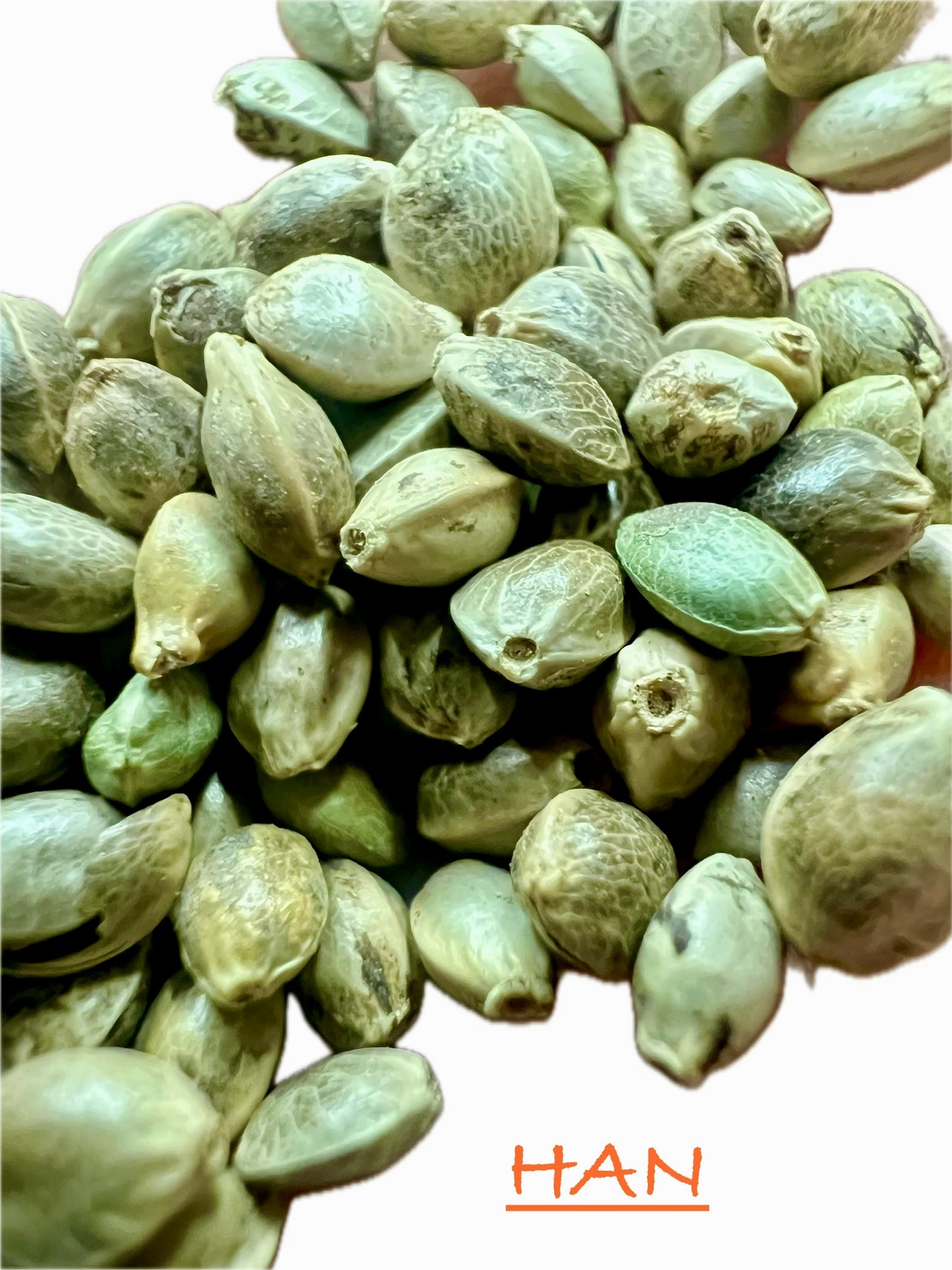 Ripkitty International & Domestic Raw Viable Hemp Seeds Sold in Bulk & Single Amounts for Poultry, Equine Feeding, & Livestock