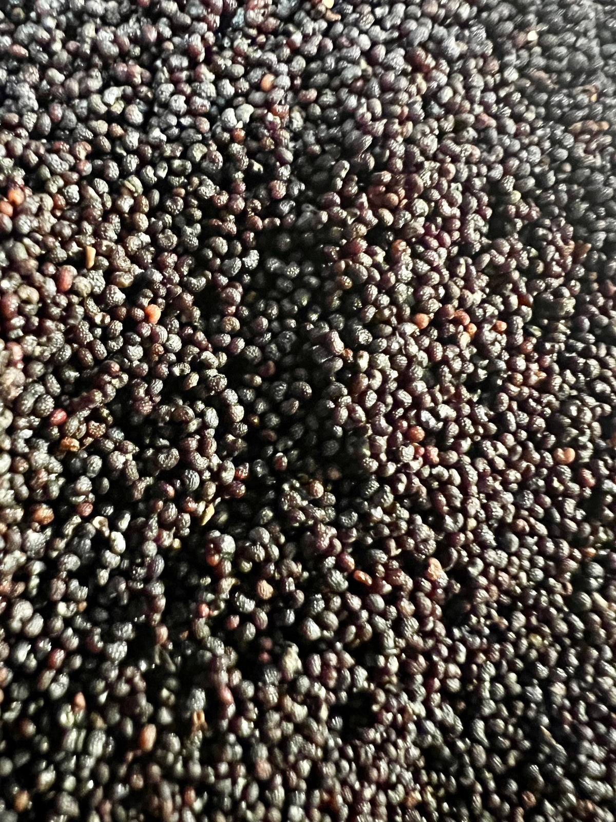 Close-up of bulk organic poppy seeds piled together, showing deep blue-black and dark purple tones with natural ridged seed texture