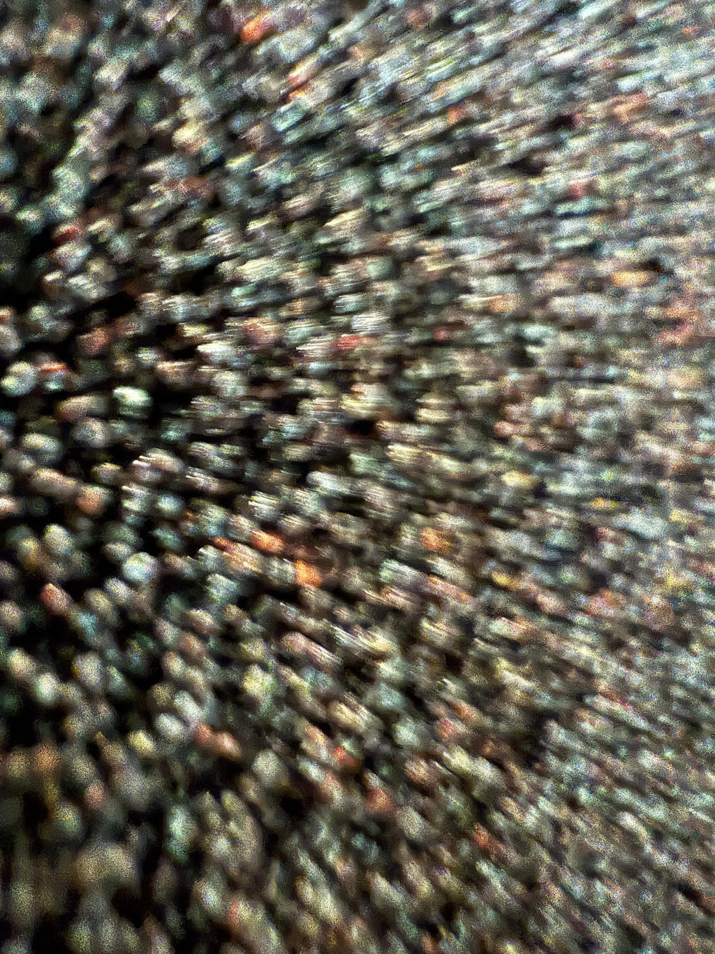 Close-up of organic poppy seeds showing natural dark blue-black coloring and dense bulk quantity