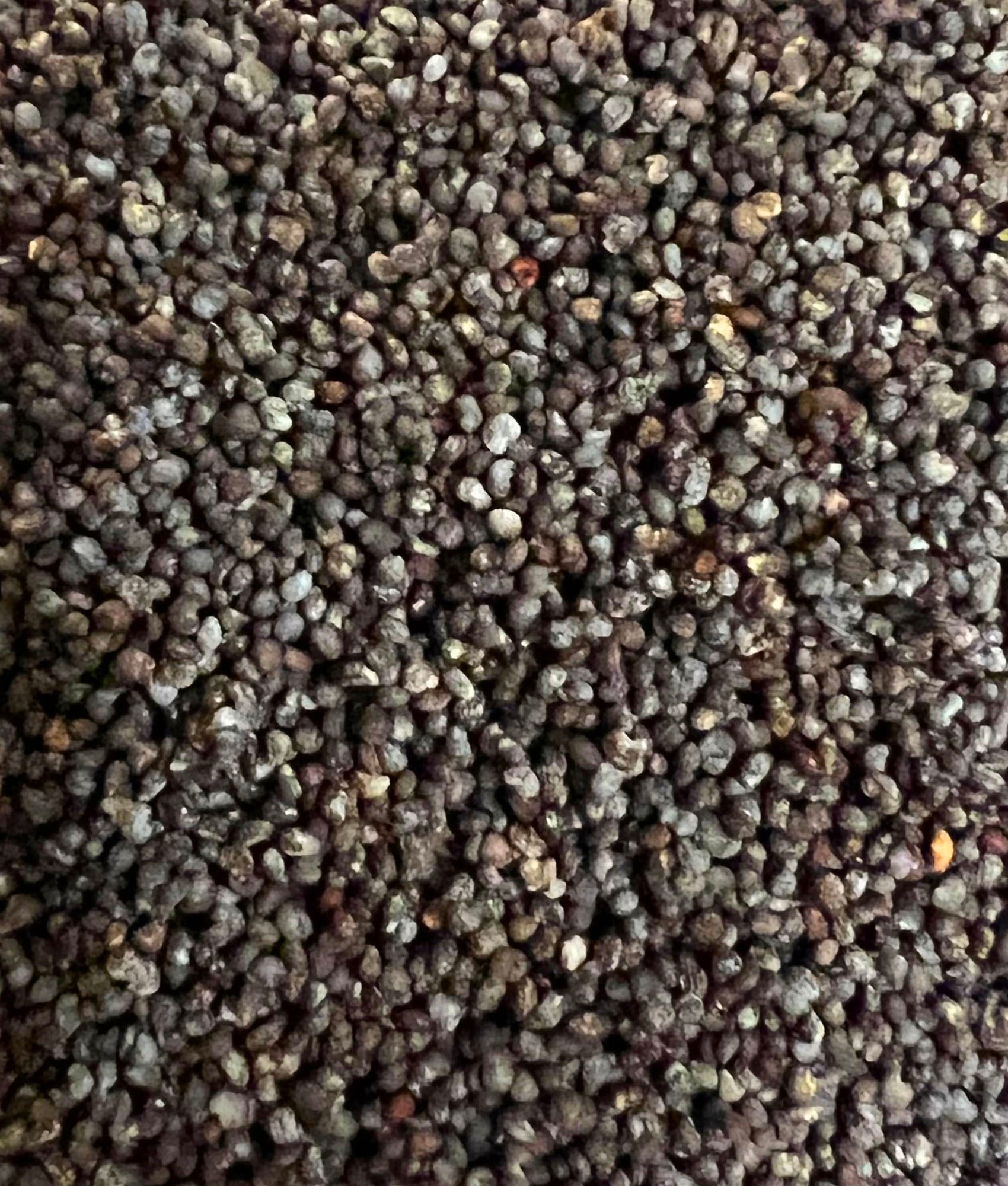 Macro close-up of organic poppy seeds showing dense coverage of dark blue-grey and slate-toned seeds with natural texture and slight color variation