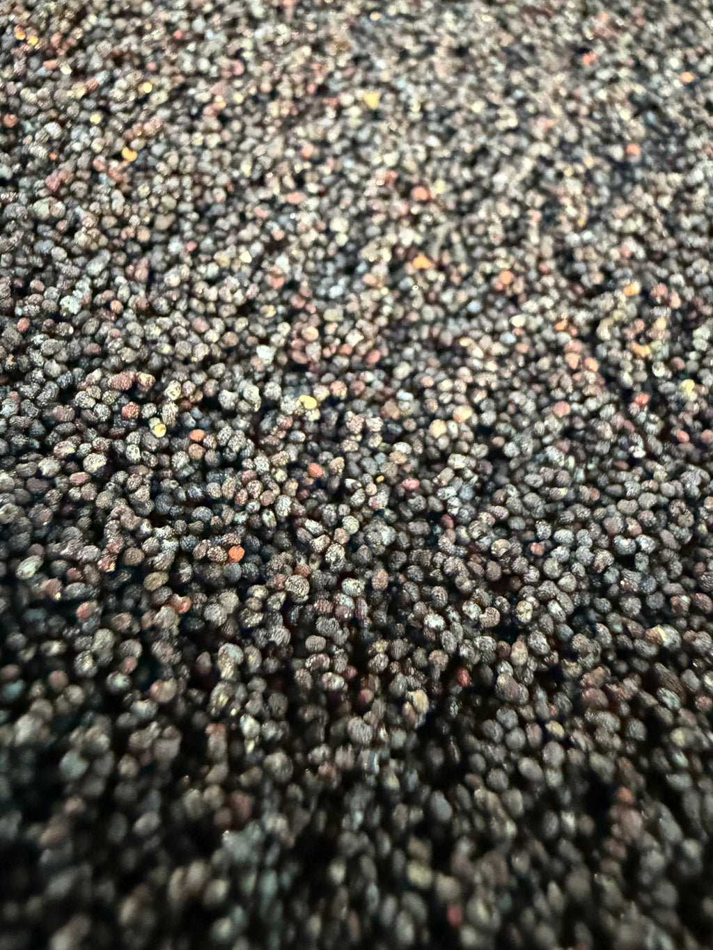 Macro view of organic poppy seeds in bulk, displaying dark blue-grey and black tones with subtle iridescent sheen and natural size variation