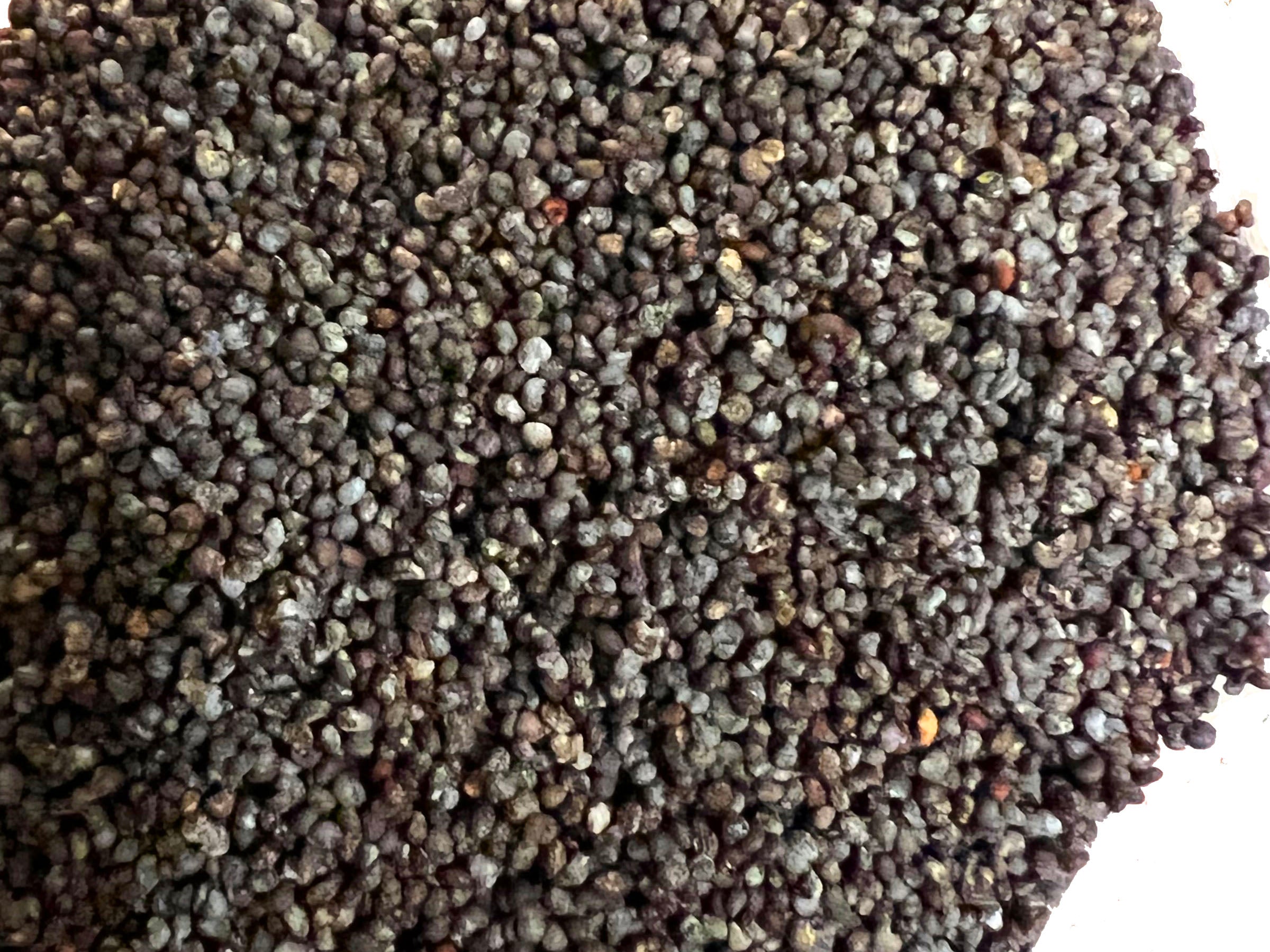 Overhead close-up of organic poppy seeds spread across a flat surface, showing mixed dark blue-grey, slate, and muted purple tones with natural size variation