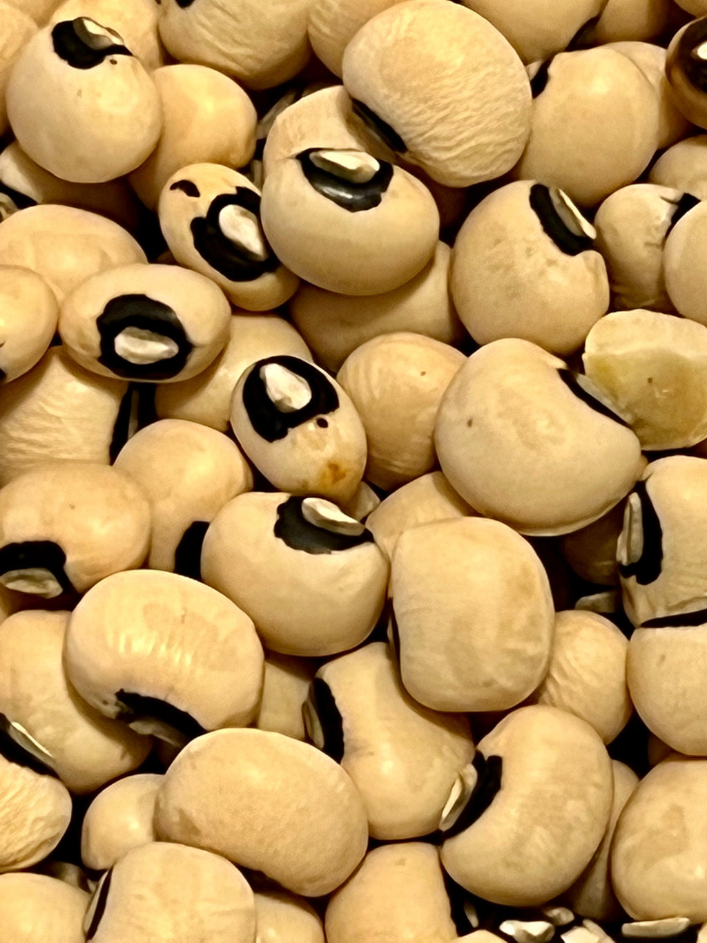 Ripkitty Organic Black Eyed Peas Seeds - Heirloom Vigna Unguiculata