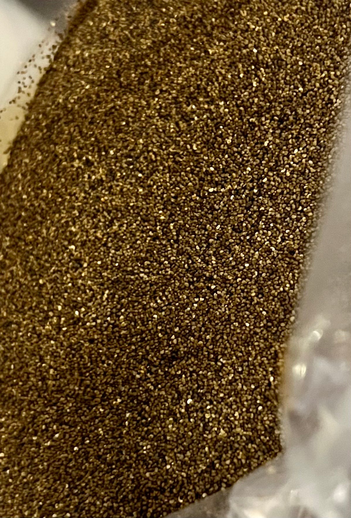 Ripkitty - Shirley Corn Poppy Rhoeas Seeds - Multicolor Ornamental