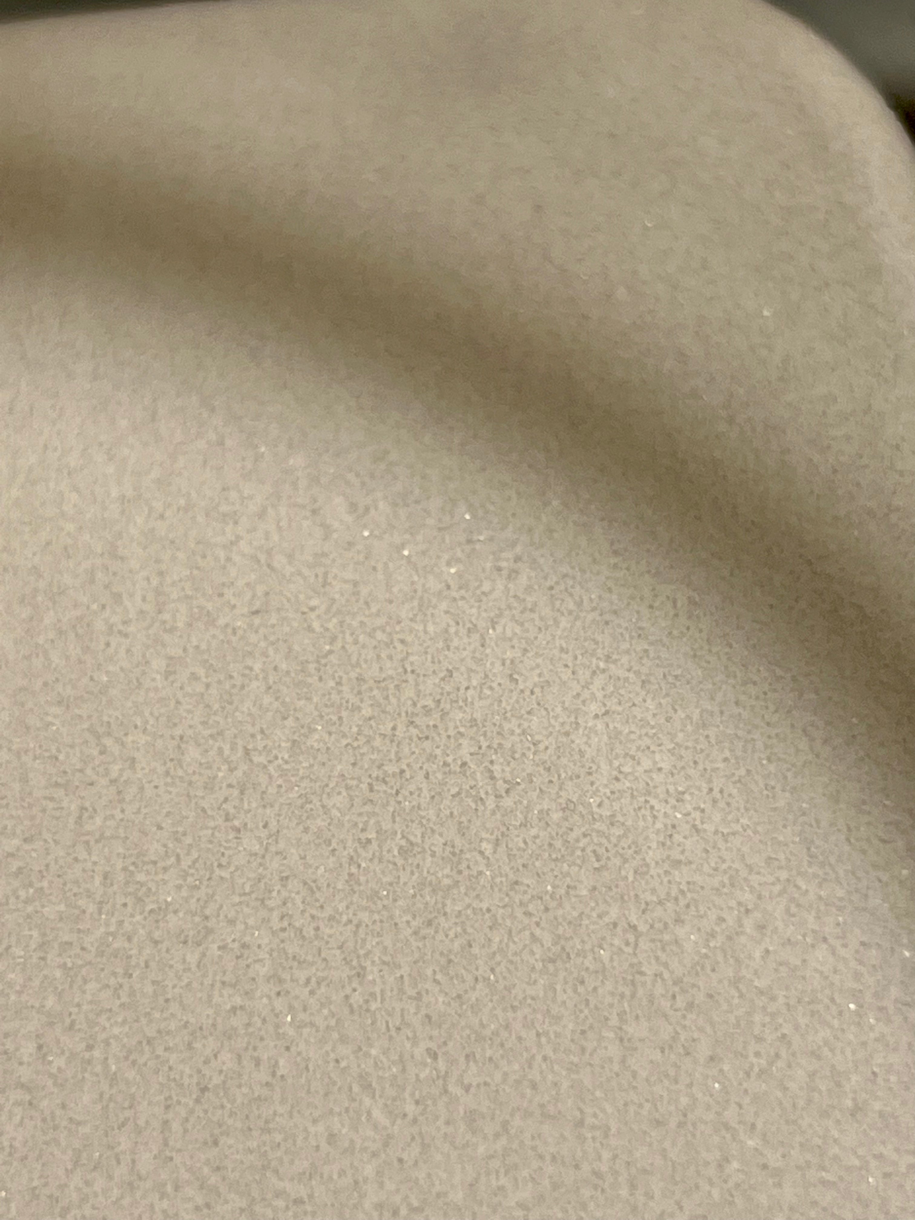 Ripkitty Premium Salt Powder Food Multi-Purpose