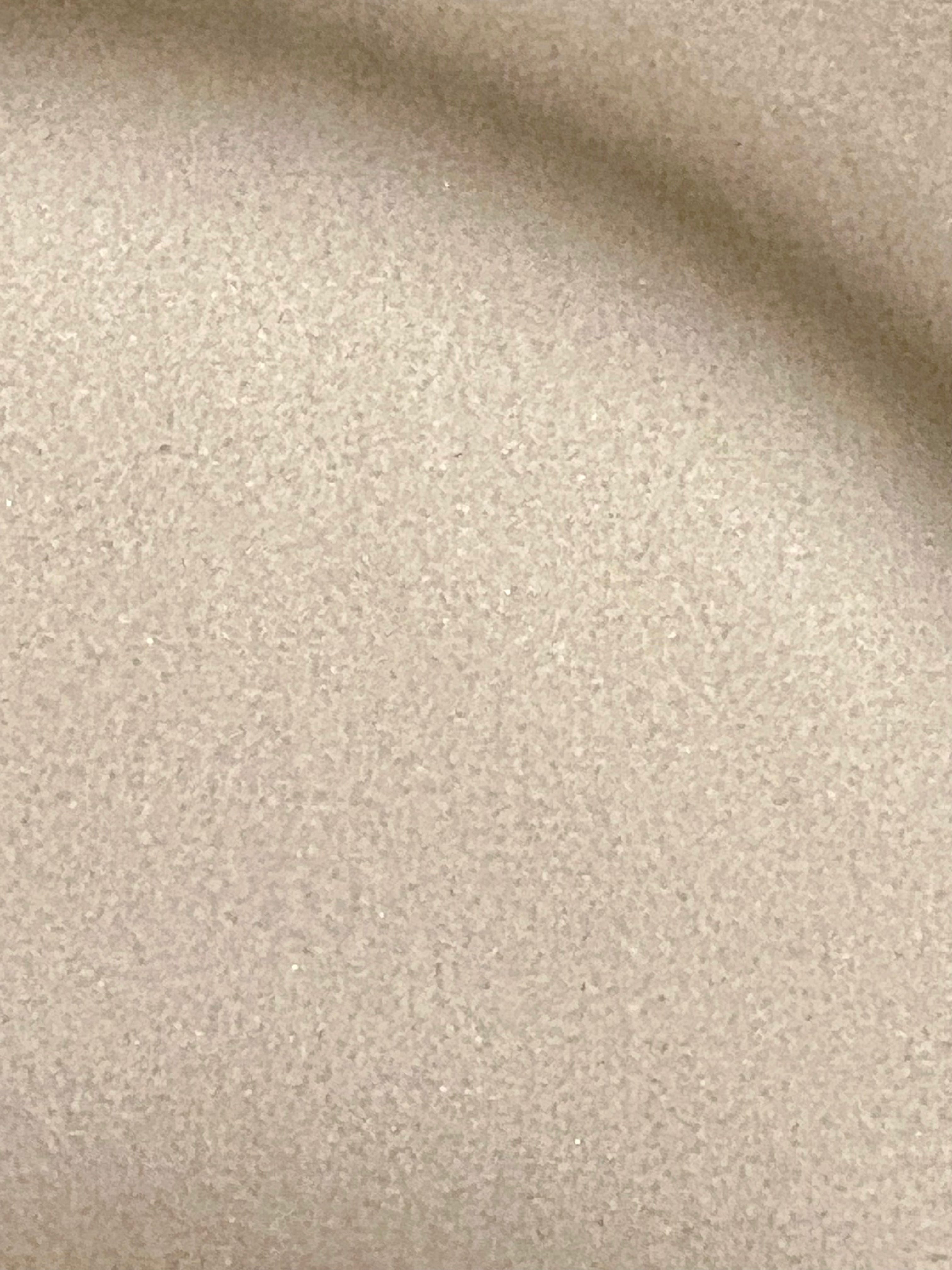 Ripkitty Premium Salt Powder Food Multi-Purpose