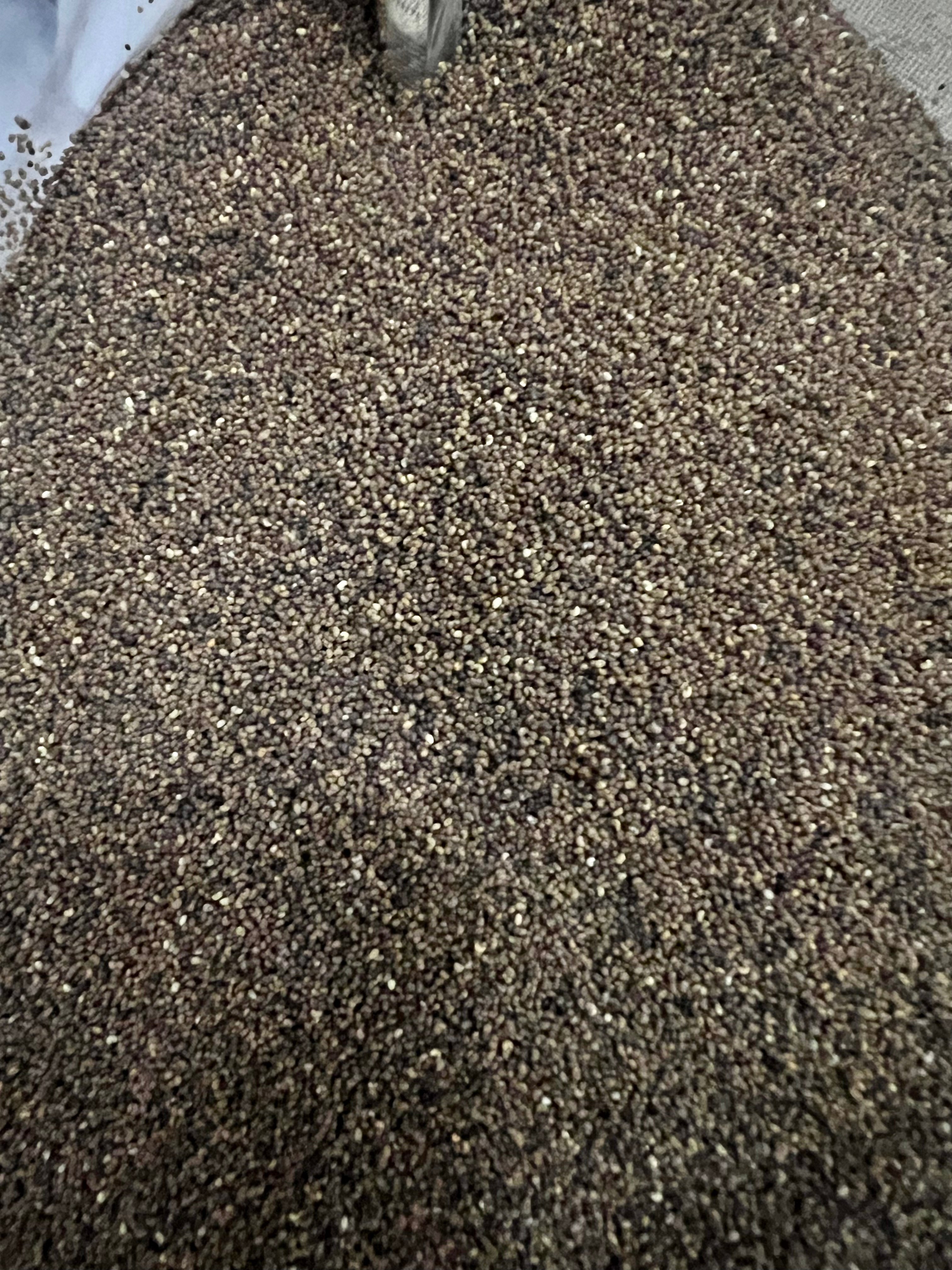 Ripkitty - Shirley Corn Poppy Rhoeas Seeds - Multicolor Ornamental