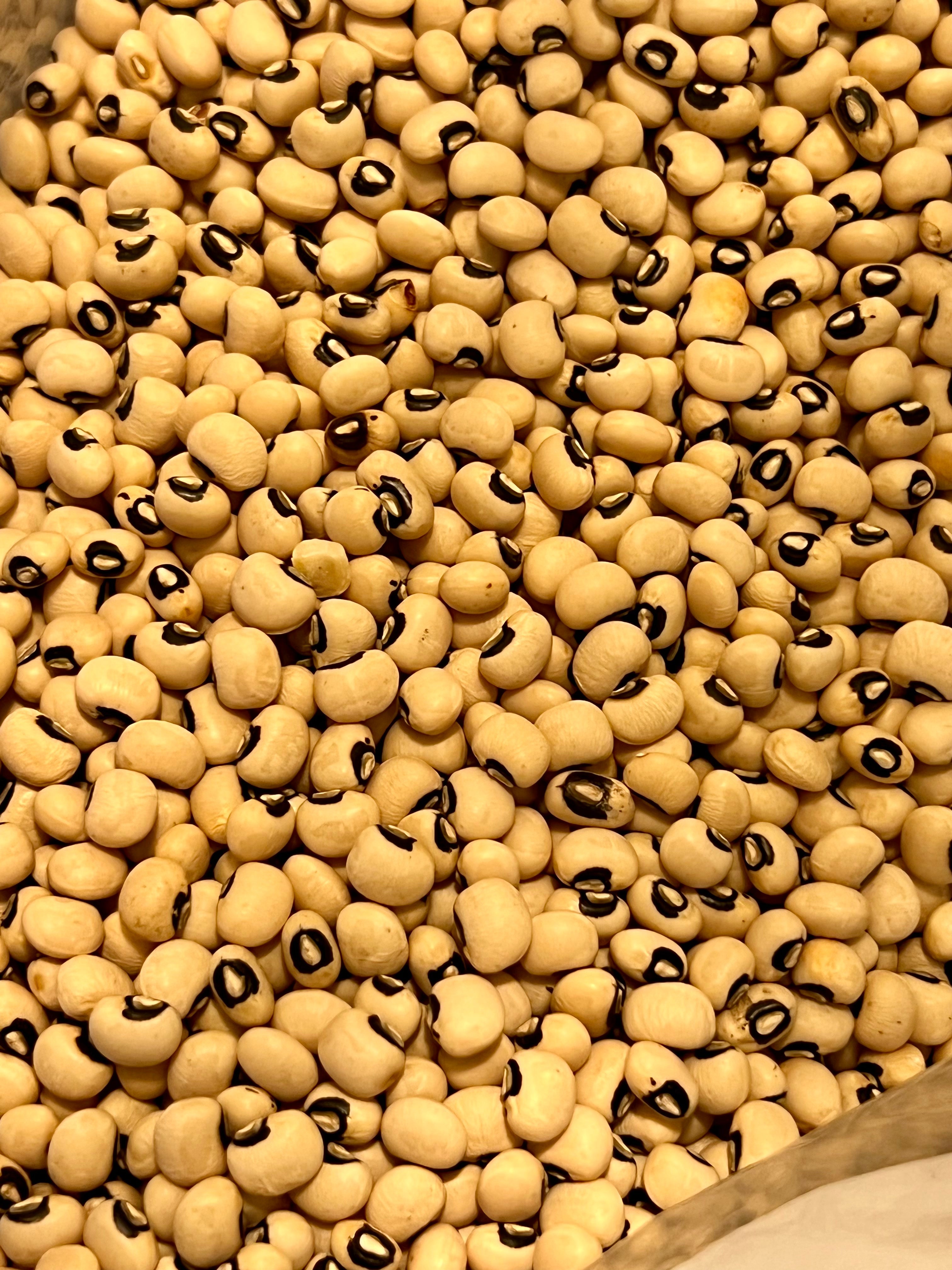 Ripkitty Organic Black Eyed Peas Seeds - Heirloom Vigna Unguiculata