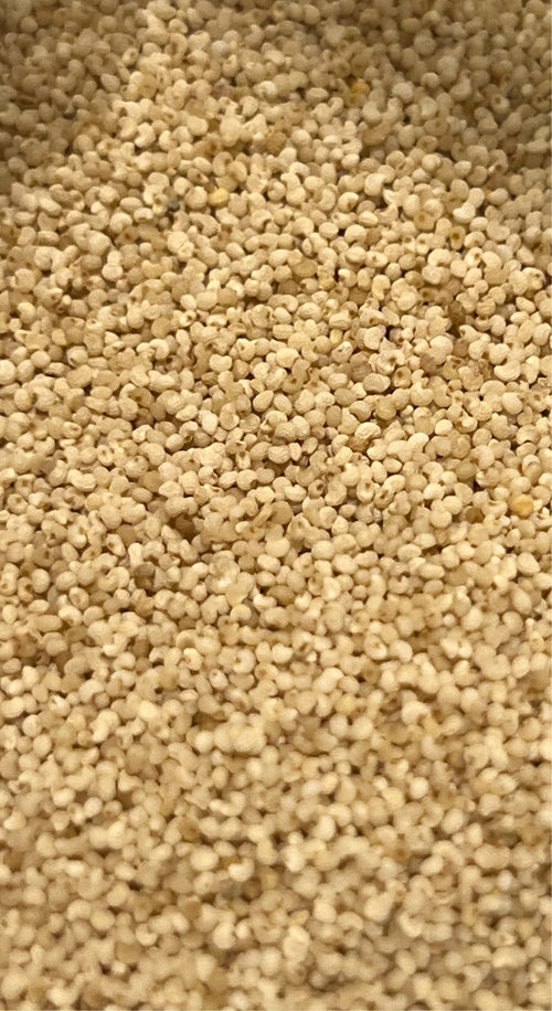 Ripkitty - White Poppy Seeds - Multicolor Ornamental