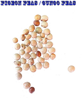 Ripkitty Premium Pigeon Peas (Gungo) Cajanus Cajan